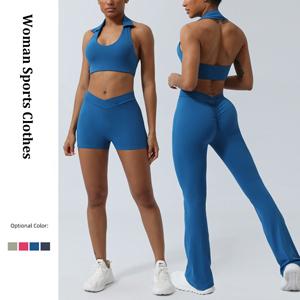 Cross-border sports and fitness suit